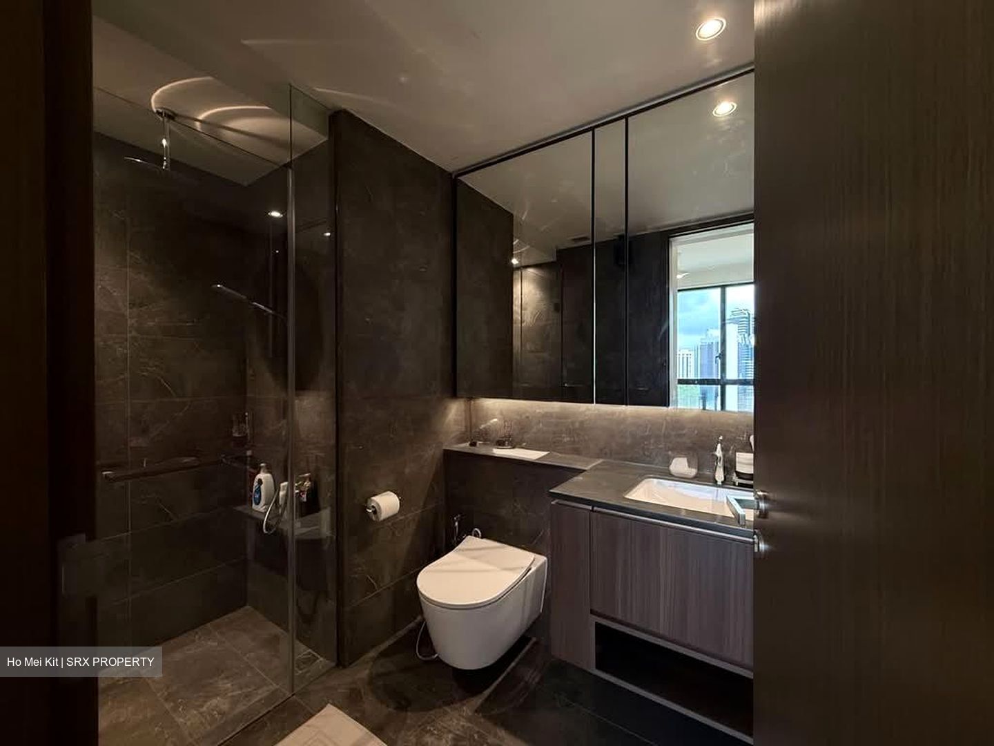 Kopar At Newton (D9), Apartment #574170811